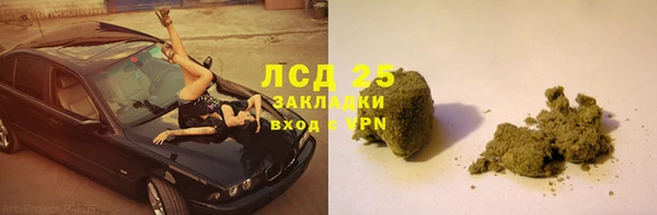 гидра Вязьма
