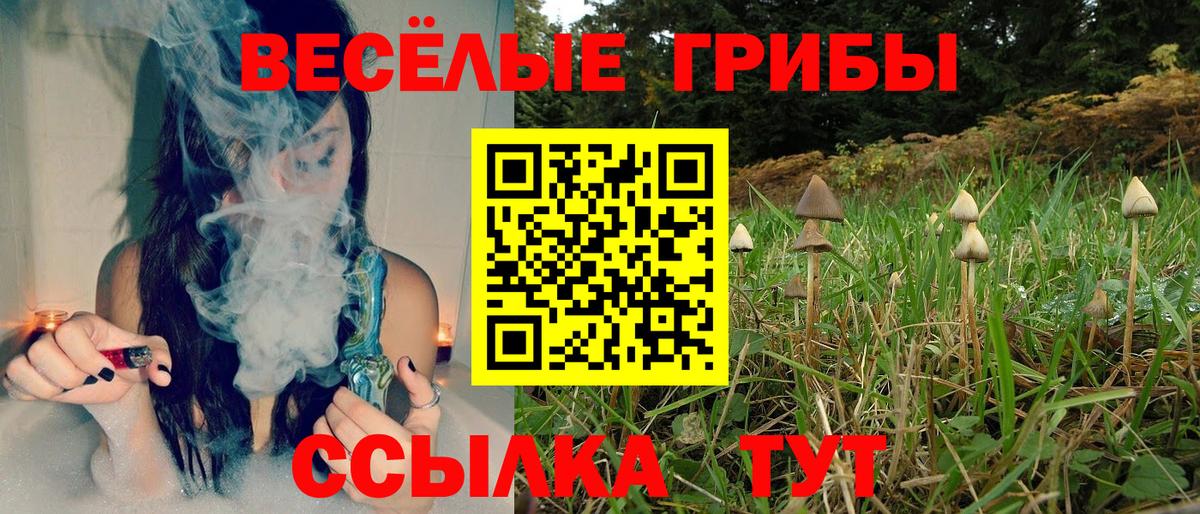 Галлюциногенные грибы GOLDEN TEACHER  Мирный  что такое наркотик  Псилоцибиновые грибы MAGIC MUSHROOMS 