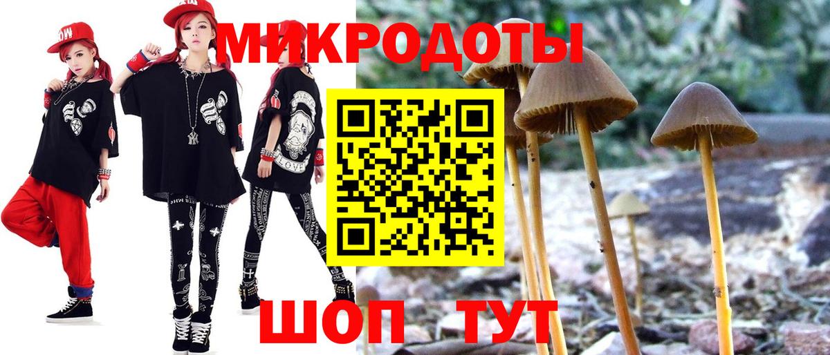 Галлюциногенные грибы Cubensis Мирный