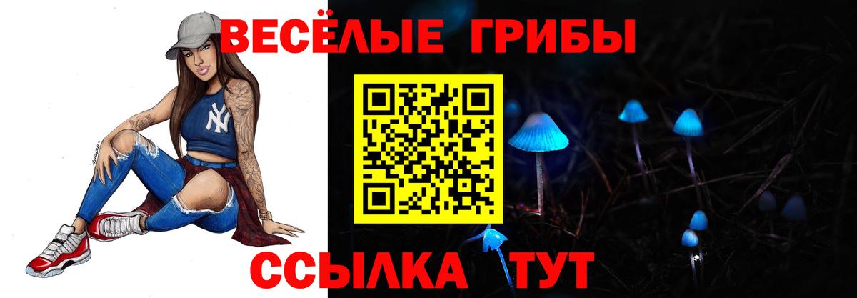 Мирный  Псилоцибиновые грибы Cubensis  Вход с VPN  Псилоцибиновые грибы Cubensis 